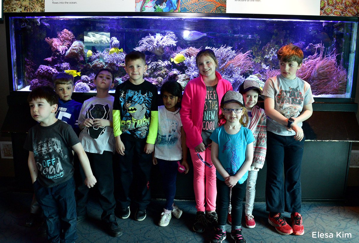 Seneca Park Zoo ( SenecaParkZoo) Twitter