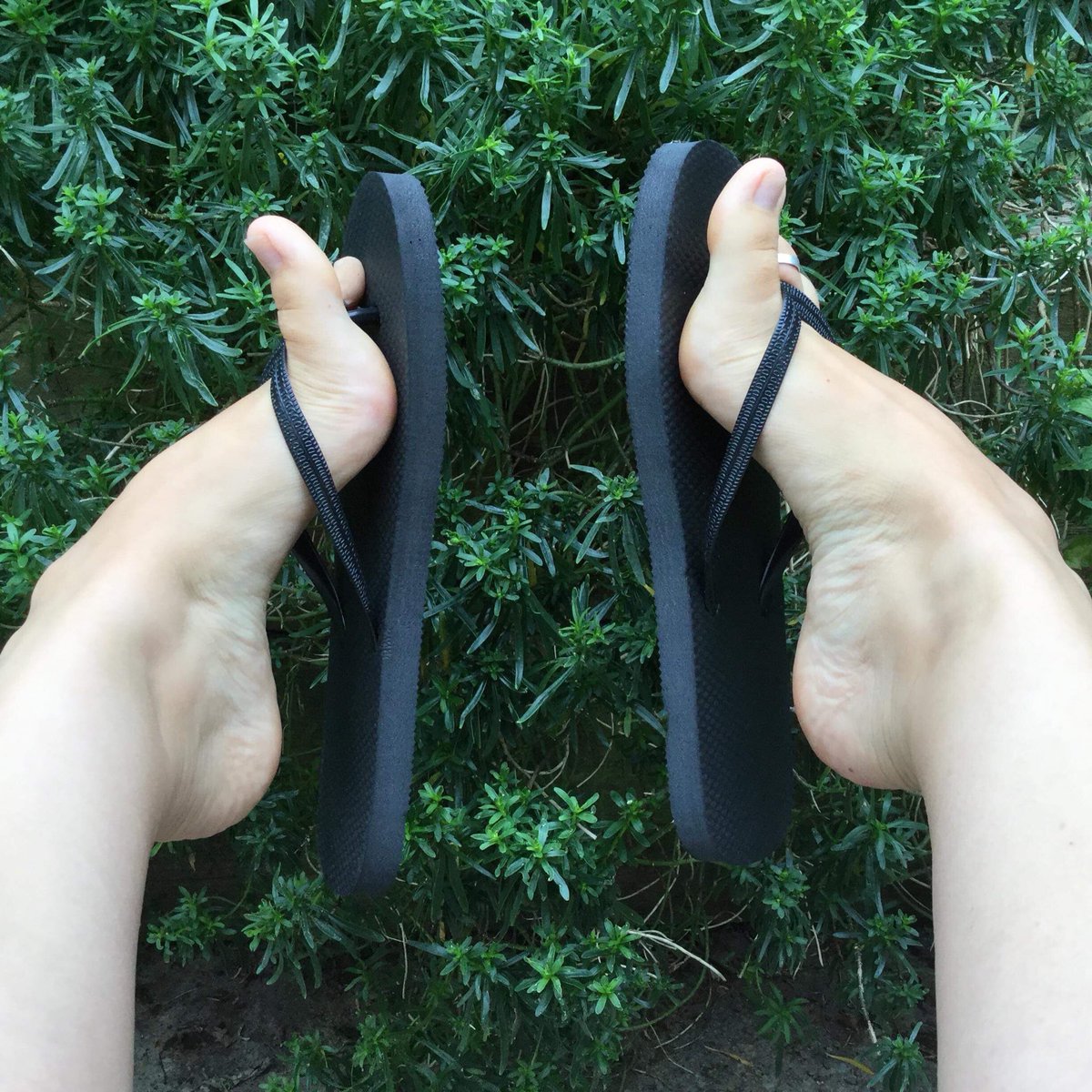 SkyeSoleful's tweet photo. Pretty feet looking for worshipers...💒
I get so turn on by you looking at my feet! 
 #higharches #flipflops #footfetish #footworship #paypiggies #footgoddess #footdom #footmodel #feetfetish https://t.co/FxF0bknPUH