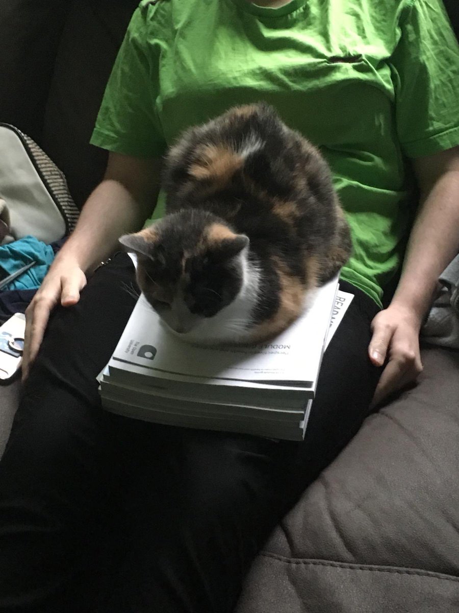 GM2UWX's tweet photo. I’m not saying the cat is comfier with my educational choices compared to me. Also productivity might be slow #NewToTheOU #OUStudent @OUstudents @oustudentlife https://t.co/Mp8gvlYcMW