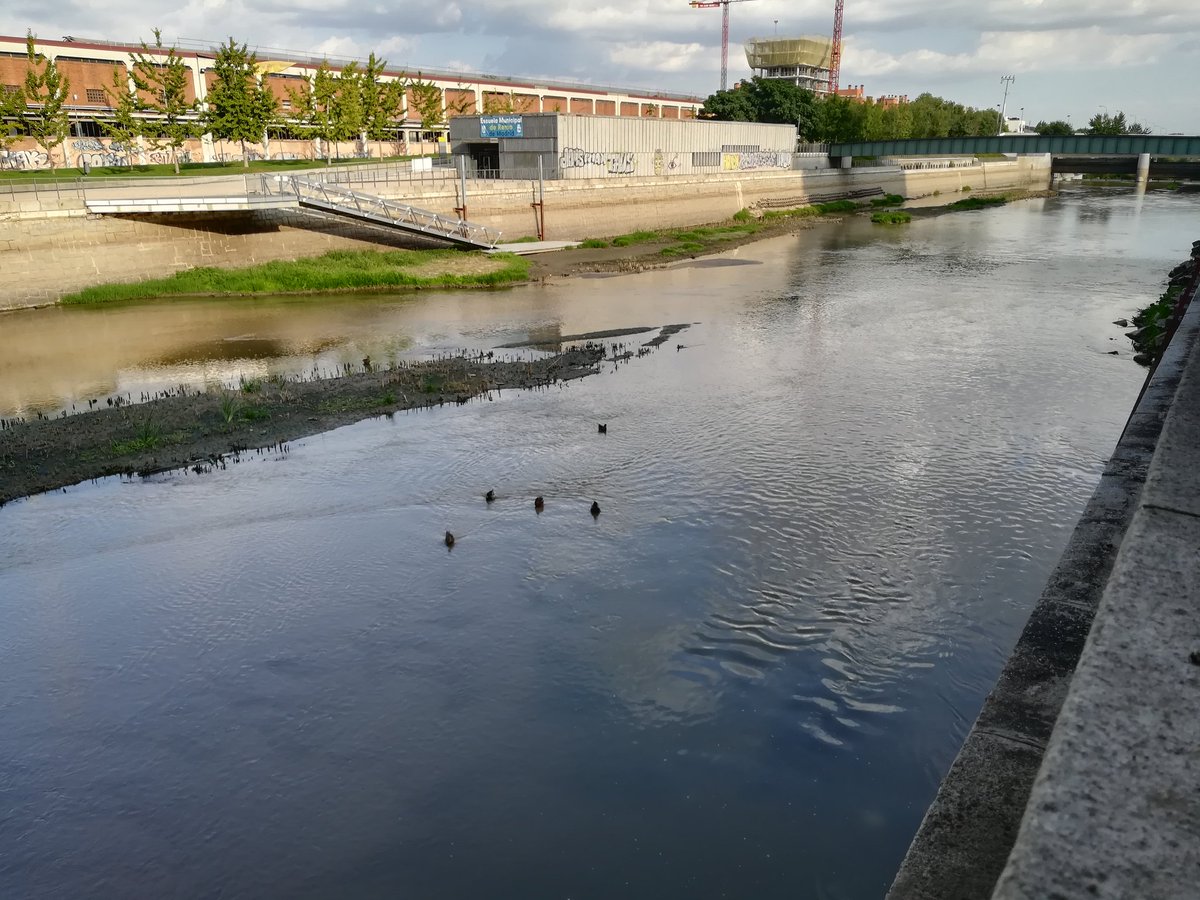 pereza_total's tweet image. A las 19.35 horas te contamos en @aquienlaonda el problema de los #remeros de @RemoMadridRio, con la responsable de la escuela y la portavoz de @siescuelaremo.