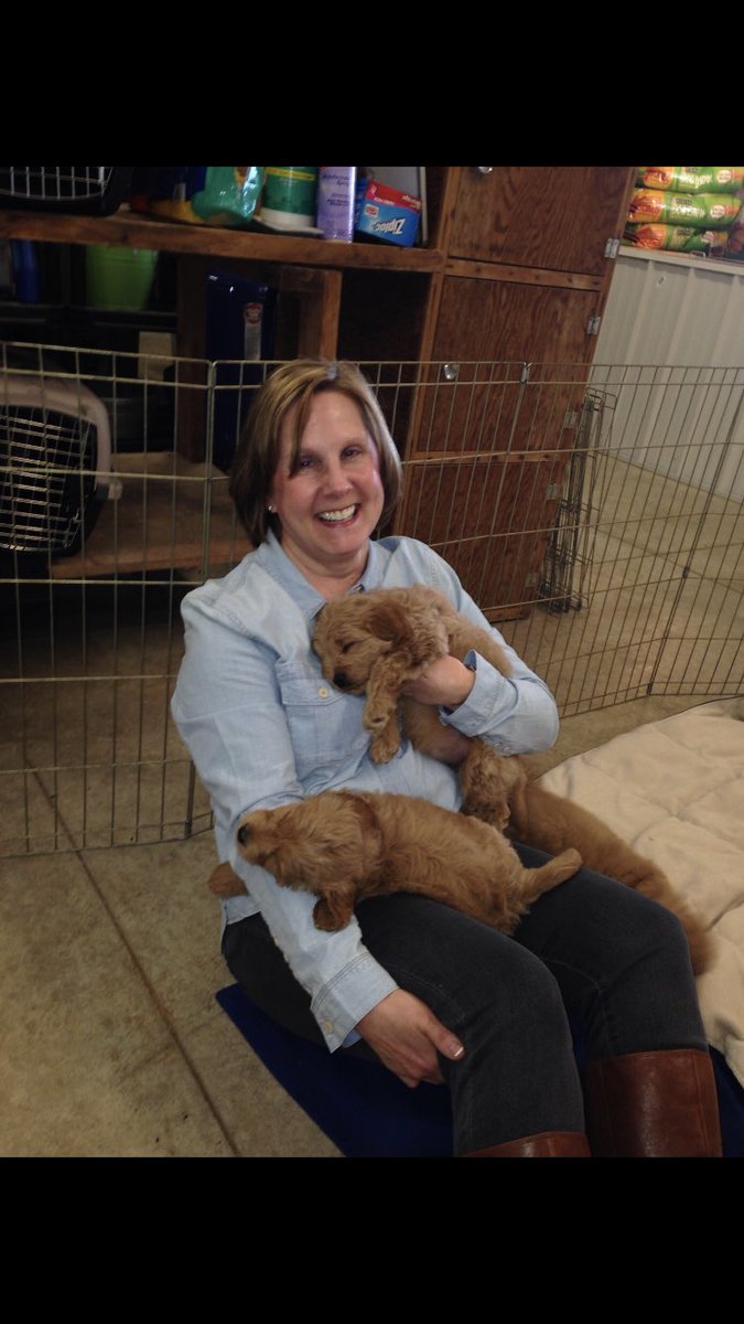 OUAGDBooks's tweet photo. #wcw today &amp; everyday is my momma. She is the best paw-rent &amp; she loves me a lot! 🐾❤️
Follow me @OUAGDBooks to learn about the book my #wcw wrote about me to support the Aaron Michael Willard Fund through @rileykids @rileychildrens 
 #dogsforacause #therapydog #love #charity https://t.co/sDulGxzVNB