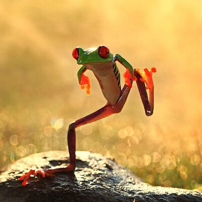 HartVolAction's tweet photo. Free most saturdays? Love a wiggle? Get moving and #GetInvolved - volunteer as a Dance Buddy with @SteppingStoneDS! Ideal for DofE students! Find out more: https://t.co/MbZB2zP9uo #DisabilityVolunteer #DanceBuddy https://t.co/tv4tOsJ0Pl