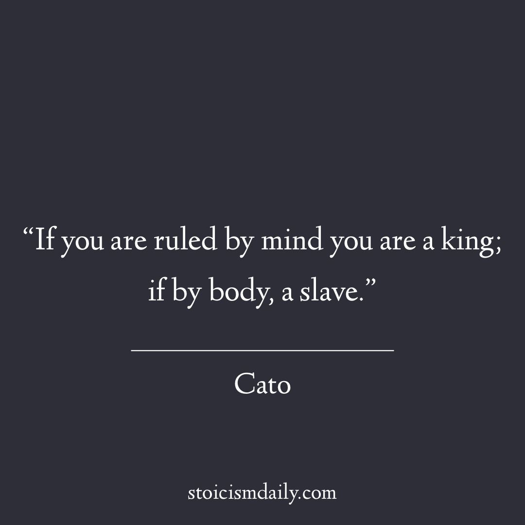 Stoicism_Daily's tweet photo. Let your conscious mind make the decisions for you today. It runs on willpower and frees you from your body and subconscious mind 🧠 #WiseWords https://t.co/YoaFQiTZpm