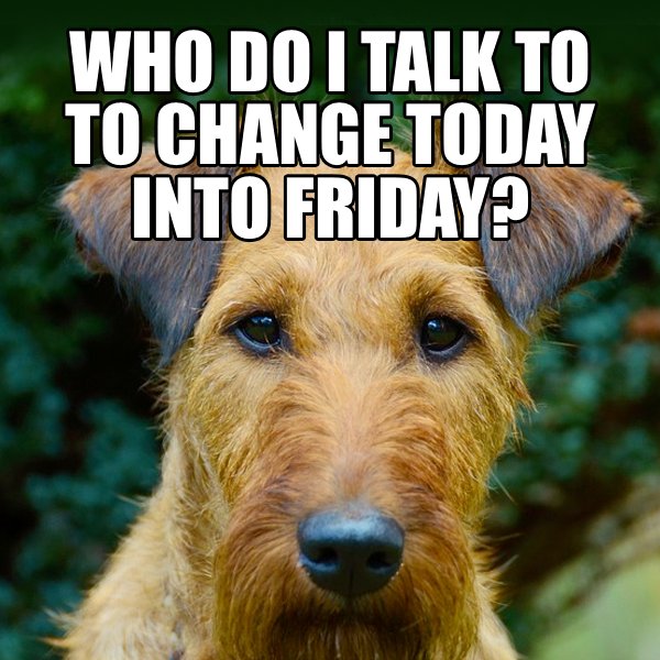 TetherTug's tweet photo. Who do I talk to to turn today into Friday? #dogsoftwitter #dogtoys #dogsatplay #activedogs #tethertug #humpday #wednesday #boohoo #isitfridayet #whenistheweekend #iloveweekends #weekendfun #doggydogworld #dogmeme #doghumor #dogparent #petparent #petlife #doglover #doglife #woof https://t.co/zUh4JUmbky