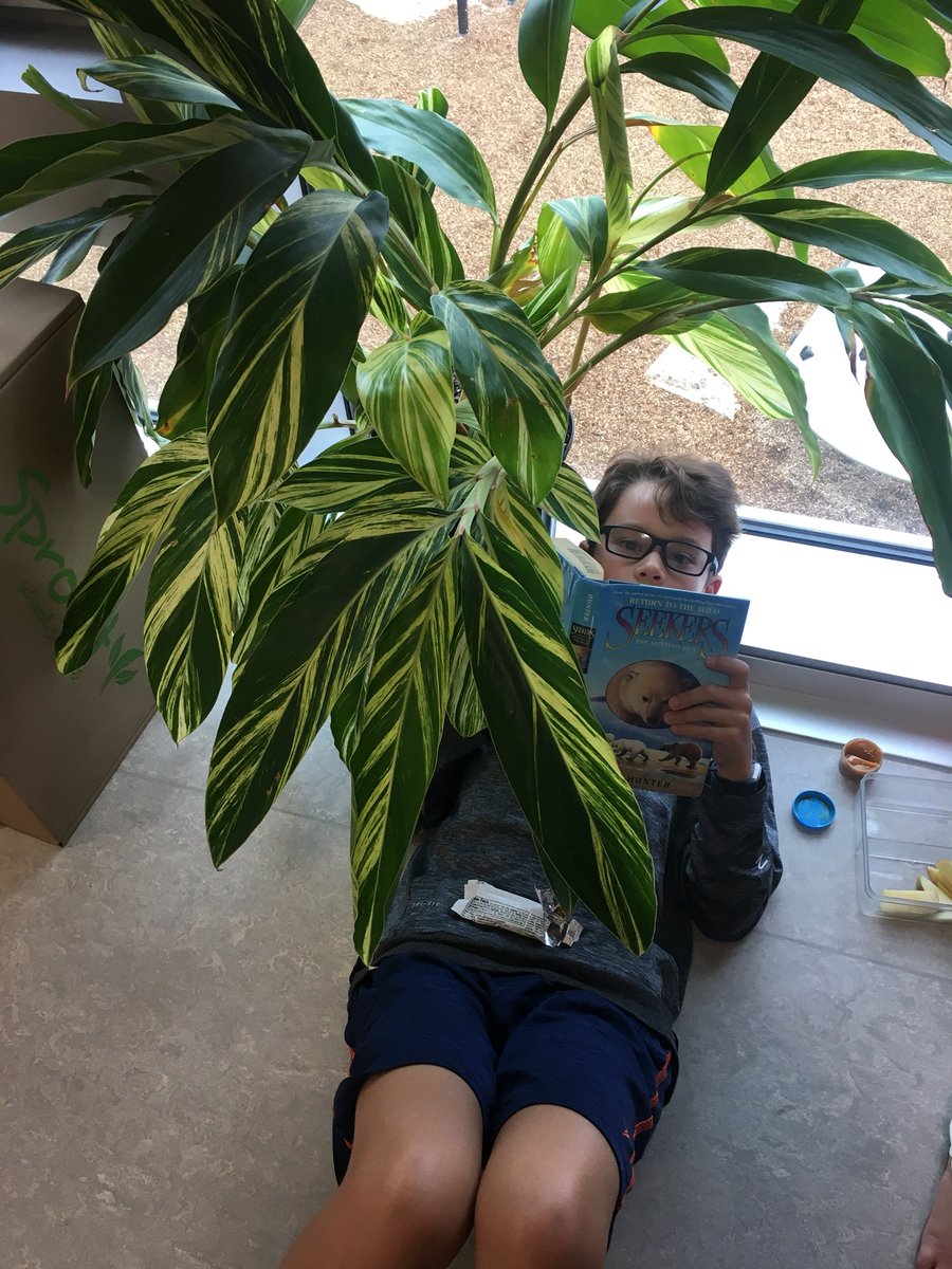 This plant lady loves seeing her students read in the jungle #ReadersWorkshop