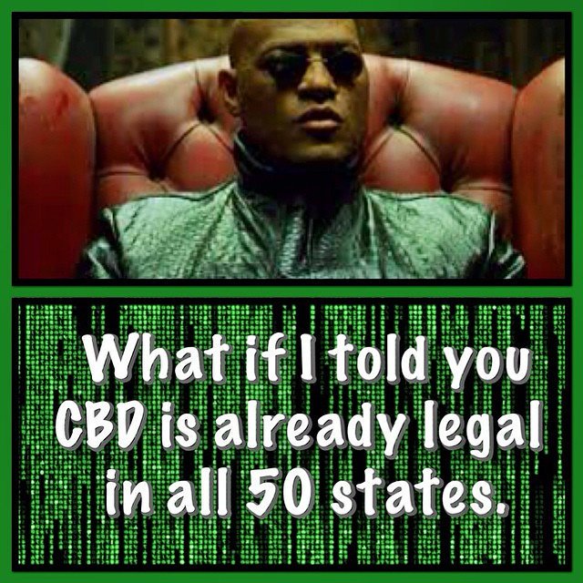 cbdconnection1's tweet photo. Did u know that CBD has the abilities to help both humans and animals check out the most extensive CBD product line out there. CBD oils,Vapes , gummies, creams and more https://t.co/wQpMC6GzTP #CBDoil #CBDHeals #CBDlife #CBDstore https://t.co/rEg3LufcJd 🦀