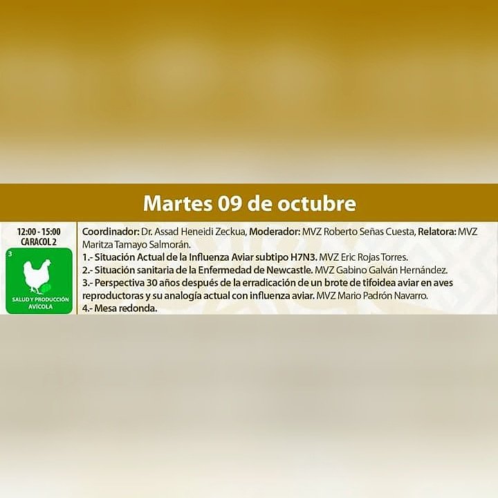 conasamexico's tweet photo. Rumbo al #CONASA26, les presentamos el Programa Técnico del Comité de #SaludYProducciónAvícola
Su mesa de trabajo es el día Martes 9 de octubre en el salón Caracol 2 de 12:00 a 15:00 hrs. https://t.co/8frgJXt3DM