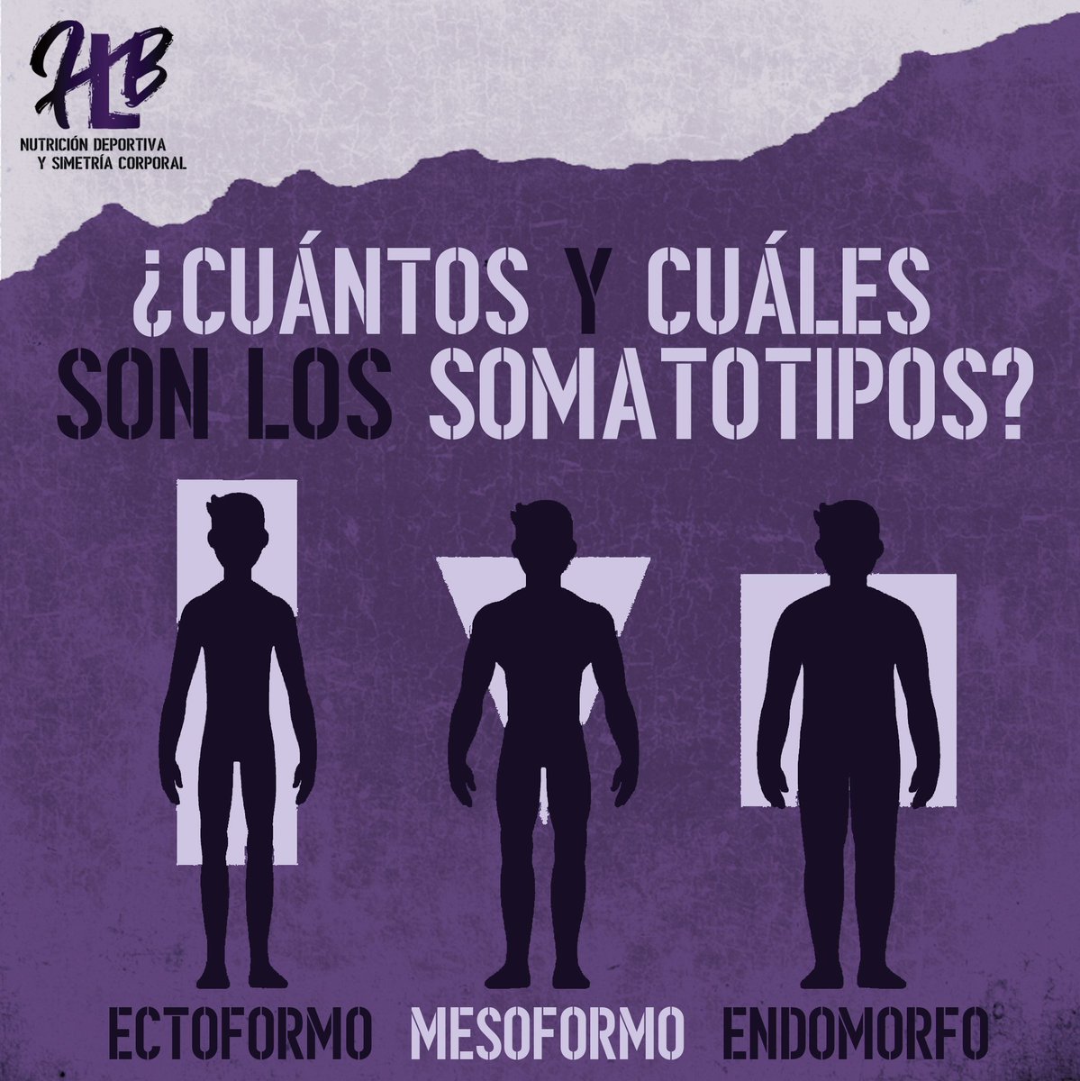 HlbCorporal's tweet photo. Es un sistema diseñado para clasificar el tipo corporal o físico, es utilizado para estimar la forma corporal y su composición, principalmente en atletas.
¿Qué tipo de cuerpo tienes?
Visita mi sitio web: https://t.co/XGqdRbmUH9
#somatotipos #ectomorfo #endomorfo #mesomorfo #salud https://t.co/XlX8Xn4mqk