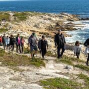 paulalangille's tweet photo. It was so fun to show off our beautiful coast during @Royal_LePage #RLPNSC! Thanks to everyone who came out to #HalifaxHikeForShelter! Almost $2600 raised for @RLPShelterFdn ! #gratitude https://t.co/JdUs4mnl2n
