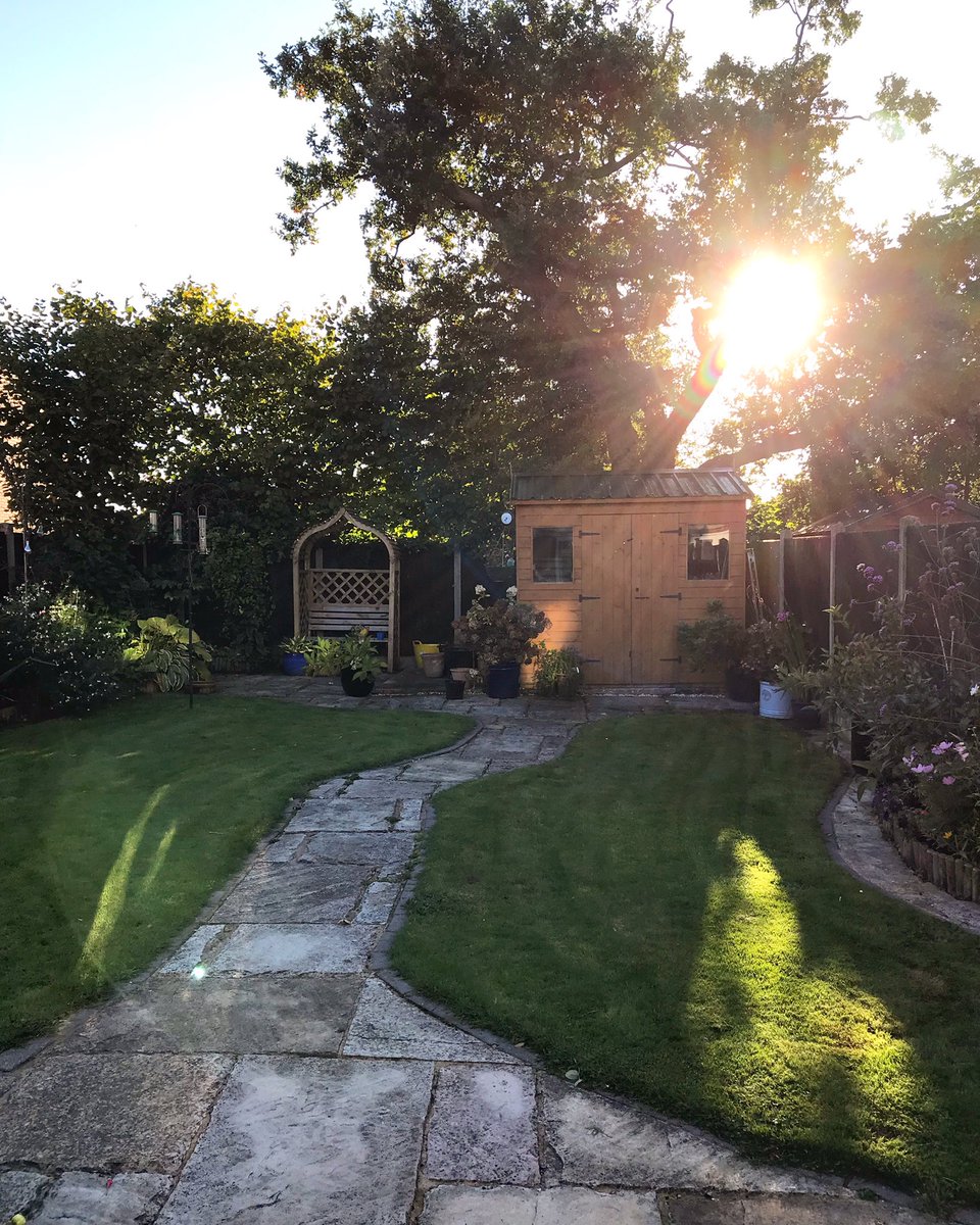 Love the afternoon autumn sunshine #gardening #gardensofinstagram #gardening #autumn #autumngarden #loveplants #plantsofinstagram #loveyourgarden #shropshire #shropshiregardens #smallspace #smallplotgardening #lovemygarden #sunnyevening #winteriscoming #garden #plants #autumnsun