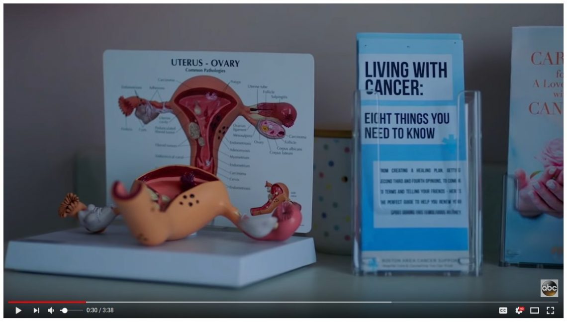 Our Uterus/Ovary model was used in the ABC Television trailer #AMillionLittleThings. The model is shown at 30 seconds into the video. gpianatomicals.com/a-million-litt…