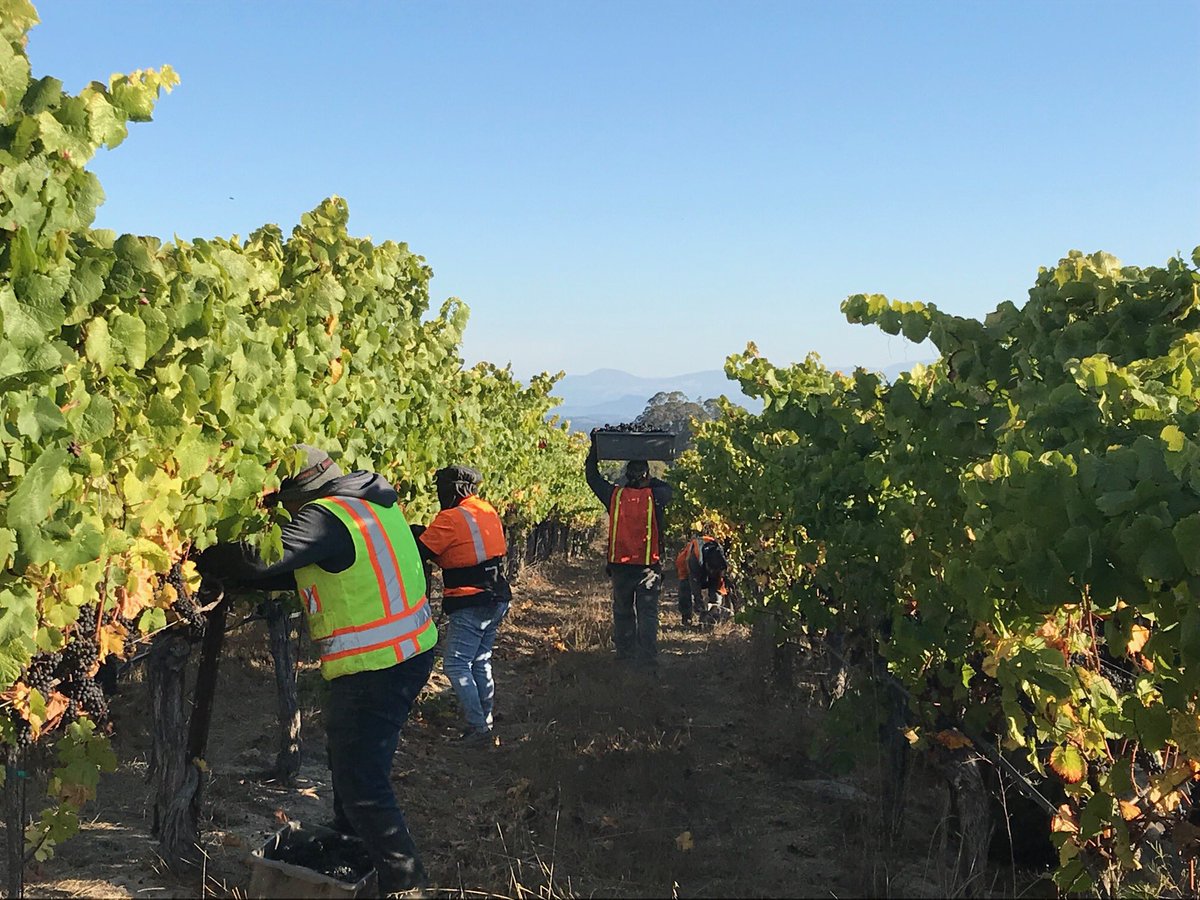 Banshee Wines tweet media