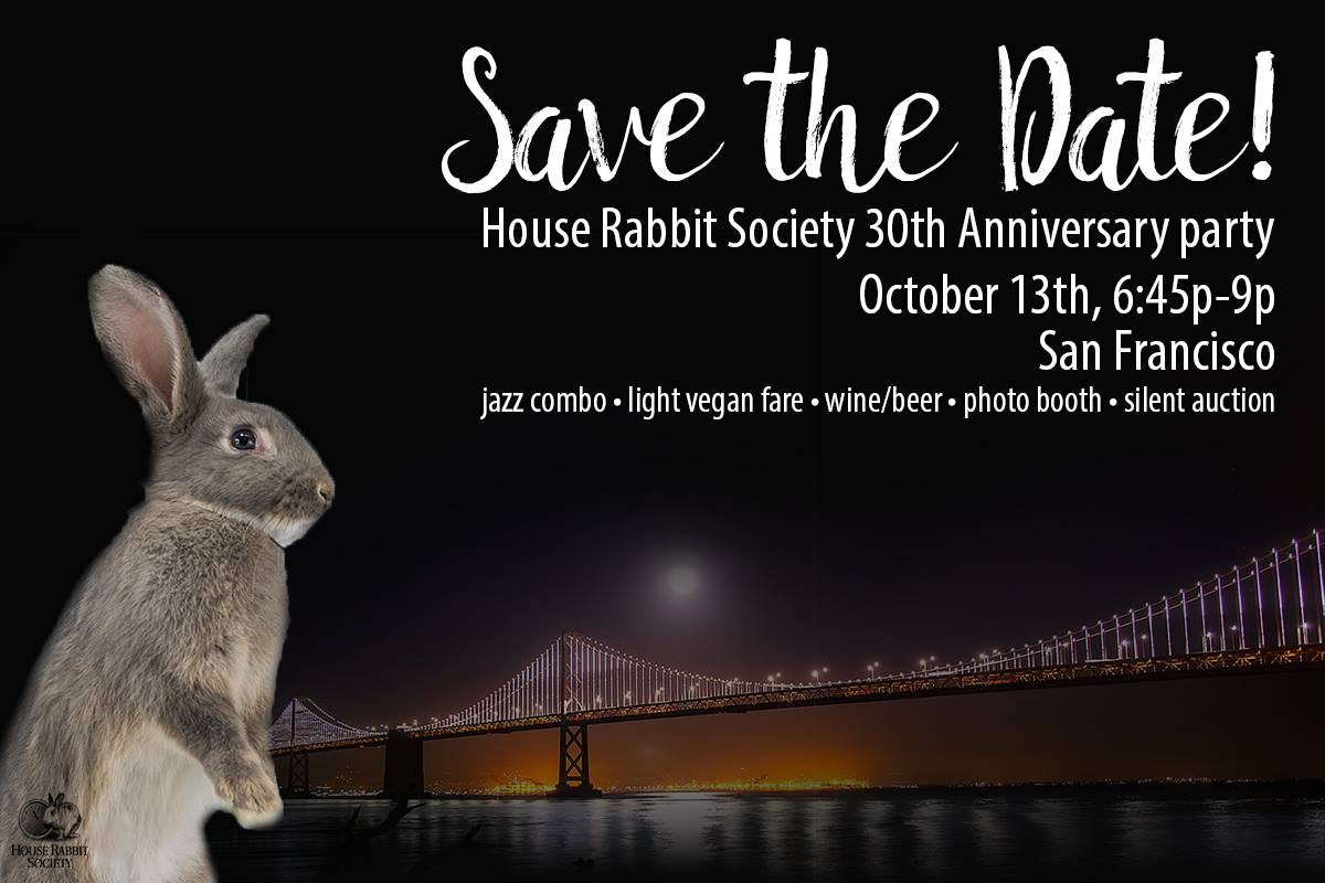 House Rabbit Society (Houserabbit) Twitter
