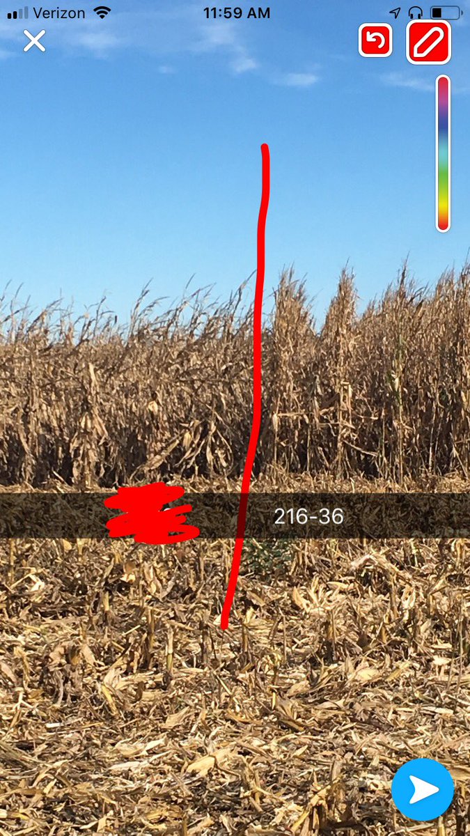 The incredible plant health of ⁦<a href="/ChannelSeed/">Channel Seed</a>⁩ 216-36 led to a 22 bushel win in the 1st dryland side by side of the year in Seward Co, NE! #PlacedtoPerform Thanks to ⁦<a href="/Kellen_meyer/">Kellen Meyer</a>⁩ for helping this grower succeed! #SeedsmanshipAdvanced
