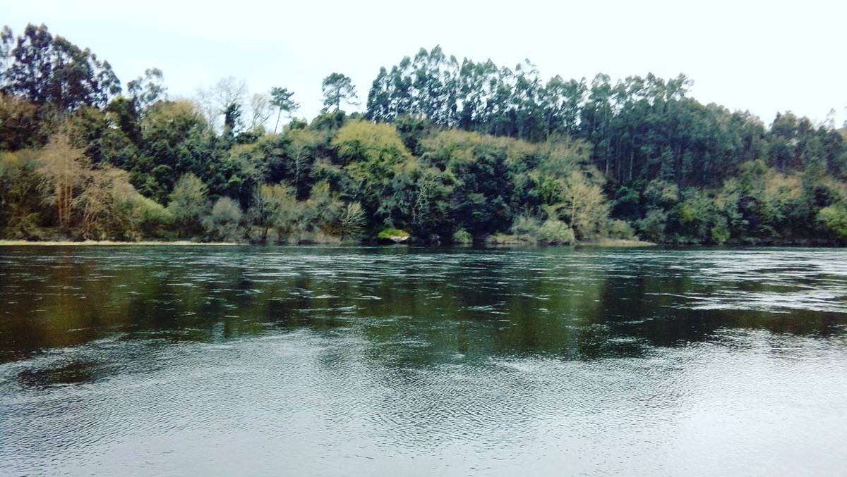 galiverso's tweet photo. Quén non alcanzou a chapozar na auga? https://t.co/saQz8L3xad