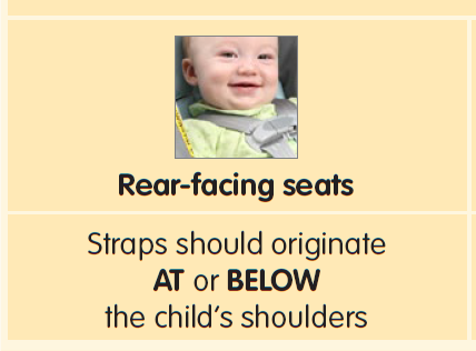 rear facing shoulder straps