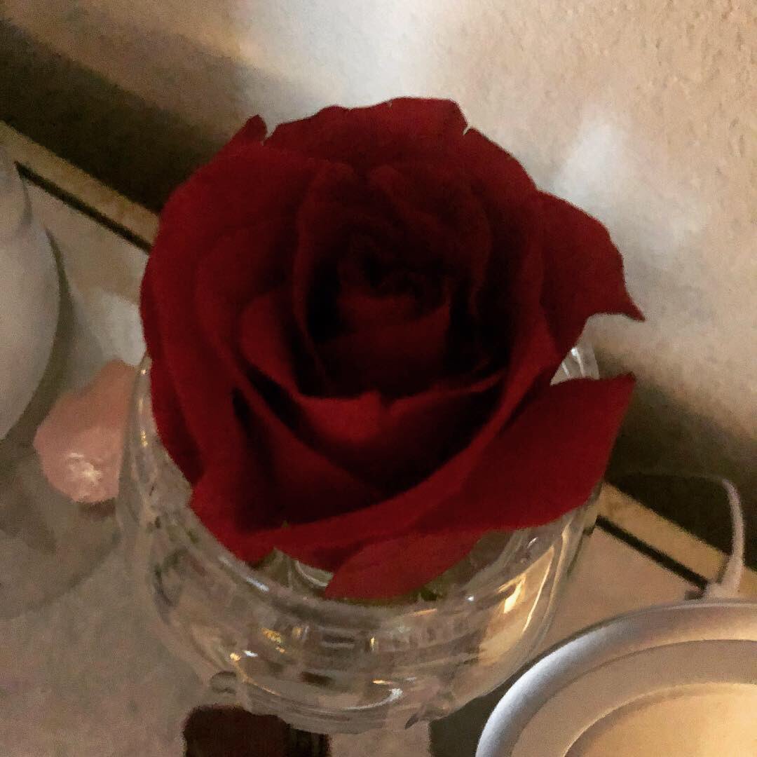 CelesteMarieXO's tweet photo. #goodmorningpost☀️ #floatingroses everywhere 🌹 rose aromas calm and uplift #stopandsmelltheroses #beautifuldecor #freshflowers https://t.co/bDpAsusc1v
