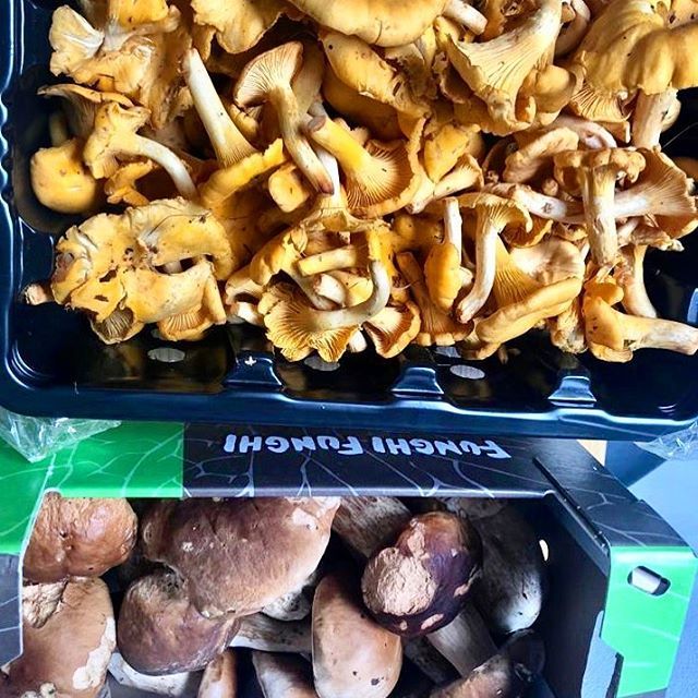 SymposiumLDN's tweet photo. Fresh Chanterelle and Porcini Mushroom on our #newmenu •
•
•
•
#eatlocal #eastlondon #romanroad #italianfood #victoriapark #milend #toplondonrestaurants #topcitybites #mushrooms https://t.co/U71EtSIG1B https://t.co/eMllerMr9x