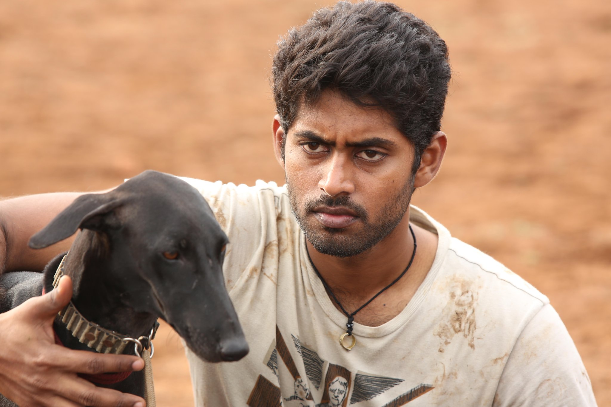 Vettai dogs cheap
