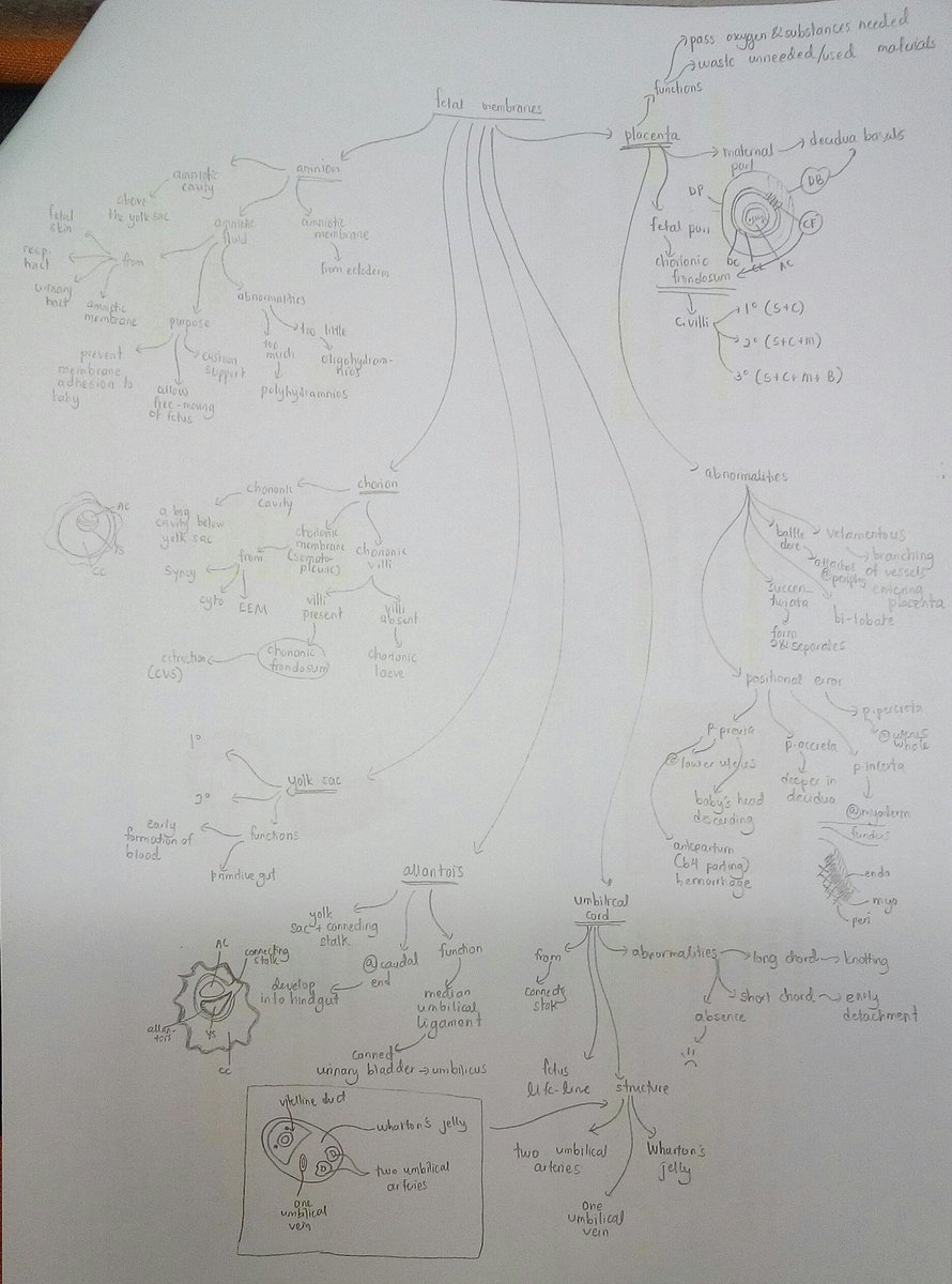 view forms and degrees of repetition in texts