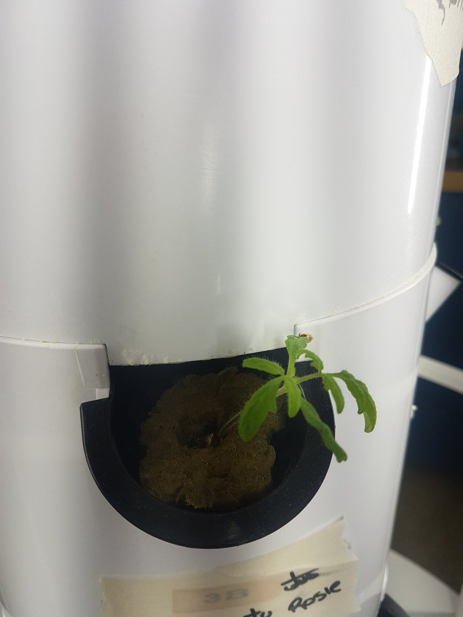 Squash &amp; kale &amp; tomatoes, oh my!! Our #towergarden is taking off <a href="/connectcharter/">Connect Charter</a>