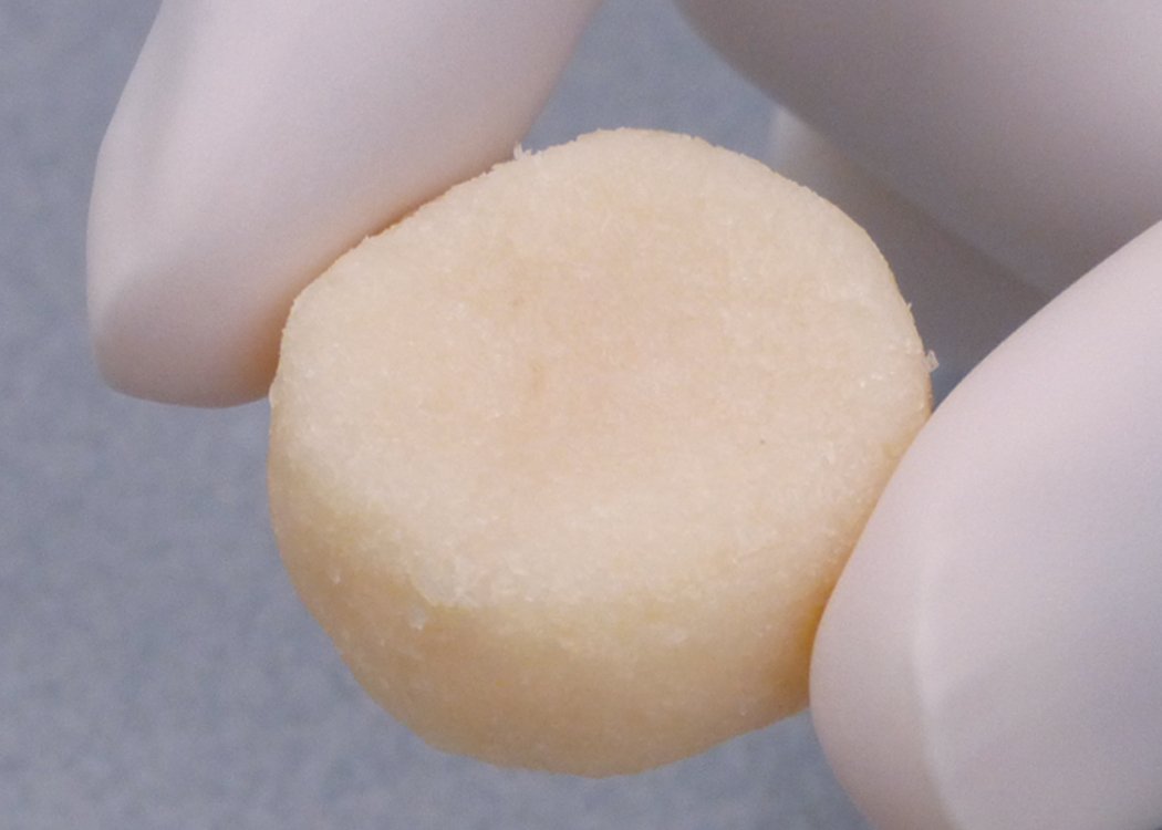 Our ConCelltrate products verified for osteoinductivity and have exceptional handling characteristics are used in spinal surgery and other procedures. Find out more at stand 1855 here at #NASS2018.
#biotech
tissueregenix.com/cellright-tech…