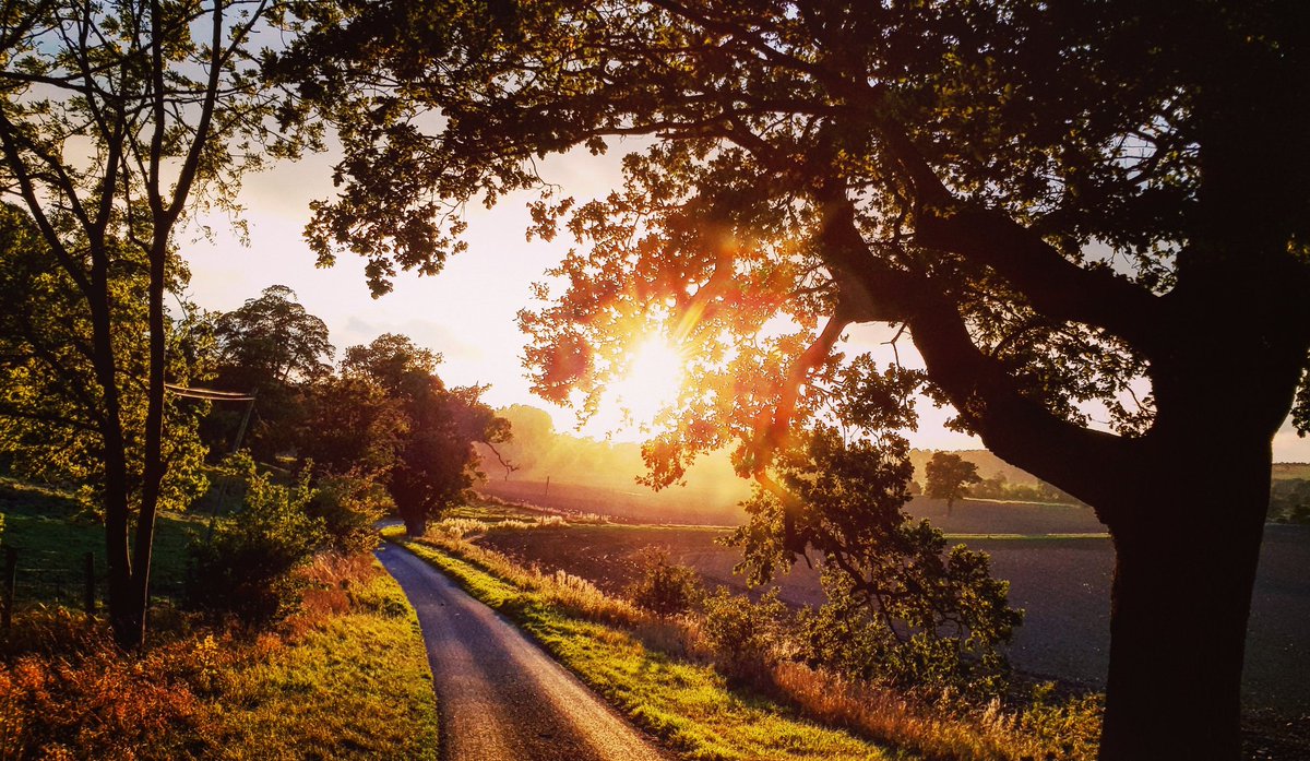 View from the commute.
#cyclinglife #viewfromthesaddle #howardianhills #Goldenhour #autumn #northyorkshire