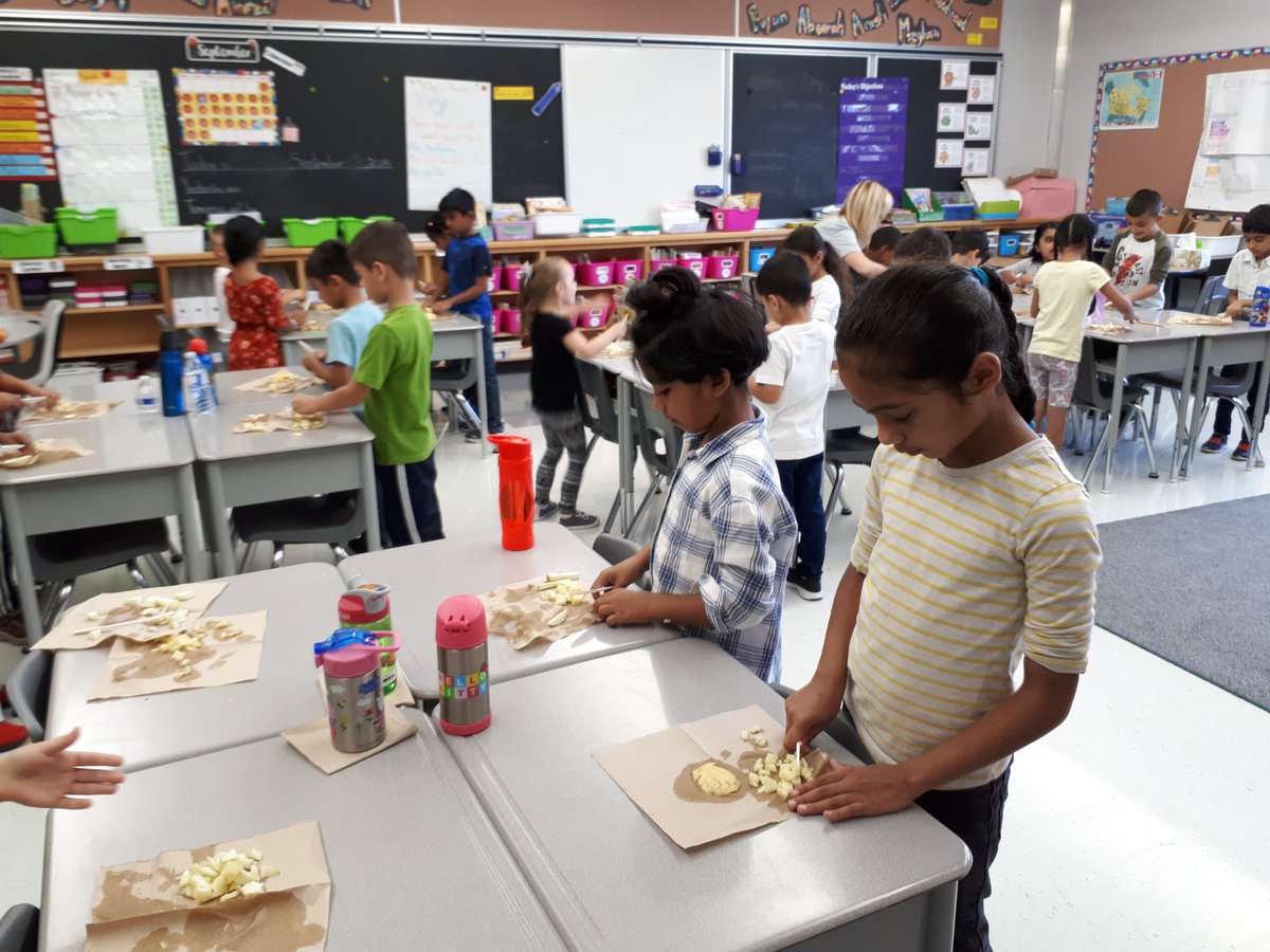 sgbatschool's tweet photo. @sgbatschool @talbot_trailps 
Apple sauce making in 1GB. Learning to cut safely and about adding ingredients to make something sweet and tasty. Sure smells good....hope it tastes good too! #CookTogether #applesaredelicious #5senses
#grade1 https://t.co/Xzk9mnEHsj