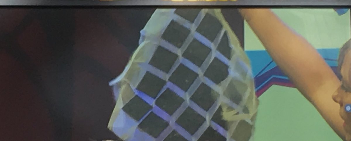 WTCTwente's tweet photo. Presentation by Hellen van Rees ‘from couture to High tech’ during congres 150 Tech in Twente. Hellen van Rees is a Dutch fashion and textile designer who focusses on the creation of contemporary handmade products with a sustainable angle. Featuring unique textiles. https://t.co/vyq6JWeva0