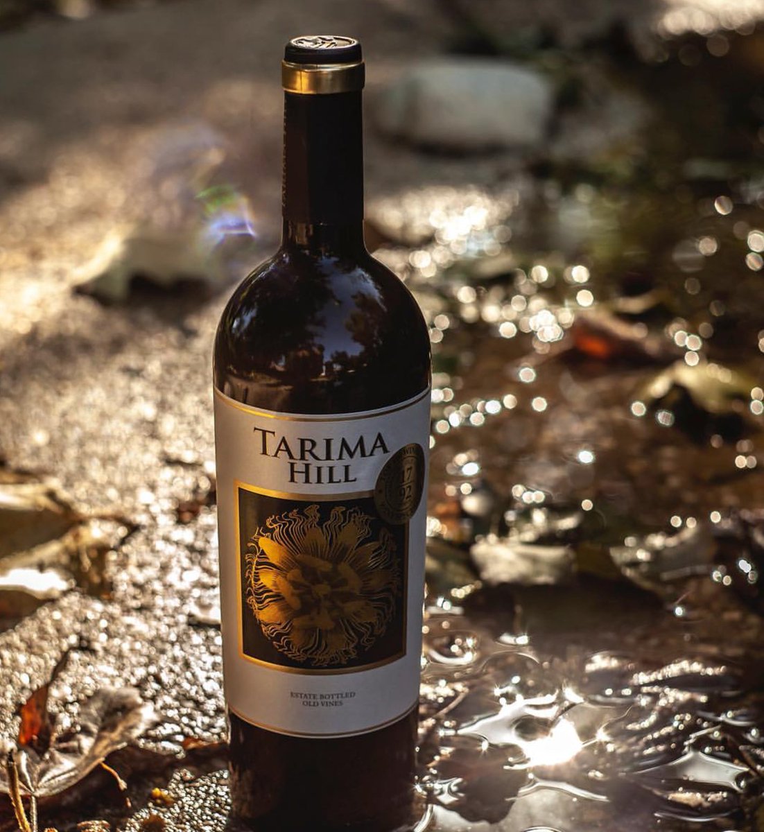 CSWS_AtlCan's tweet photo. It's #Fall in #Newfoundland! Enjoy the changing of the leaves with a bottle of #TarimaHill. Available at your local @nlliquor, this is the highest ranking #Spanish wine in the world.. #SeptemberSips #Cheers https://t.co/TmKFwLtERE