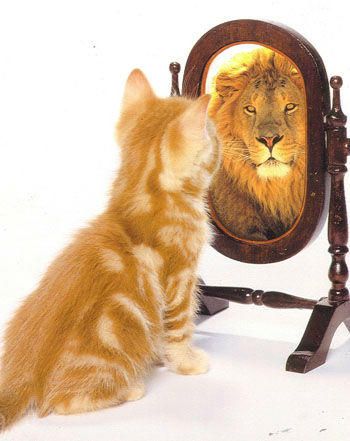 You are braver than you think you are. You are stronger, too. Remember that the next time you walk into a spider's web. #WBPestControl