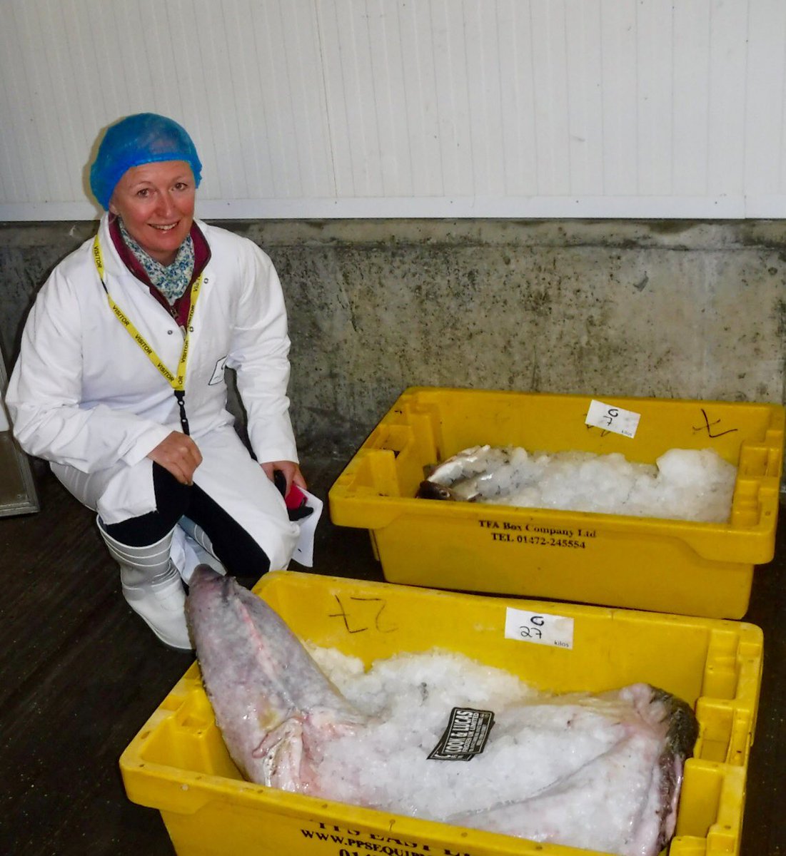 shesailsfurther's tweet photo. Thank you to the GREAT Grimsby seafood industry today for making our first study tour with Middlesbrough College such a success, collaboration at its best #skills #education @GyFishMarket @youngsseafood @grimsbyseafood @EnderbySalmon @seafishuk @RobGreenchef https://t.co/VZTNhFyuYD