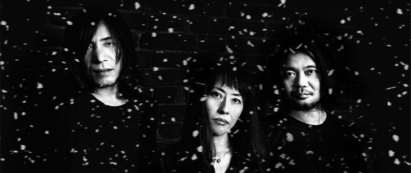 theprp's tweet photo. Mono Set January Release For New Album "Nowhere Now Here", Debut "After You Comes The Flood":
https://t.co/zG6B6jEqBb
@monoofjapan https://t.co/GZskDl24X6