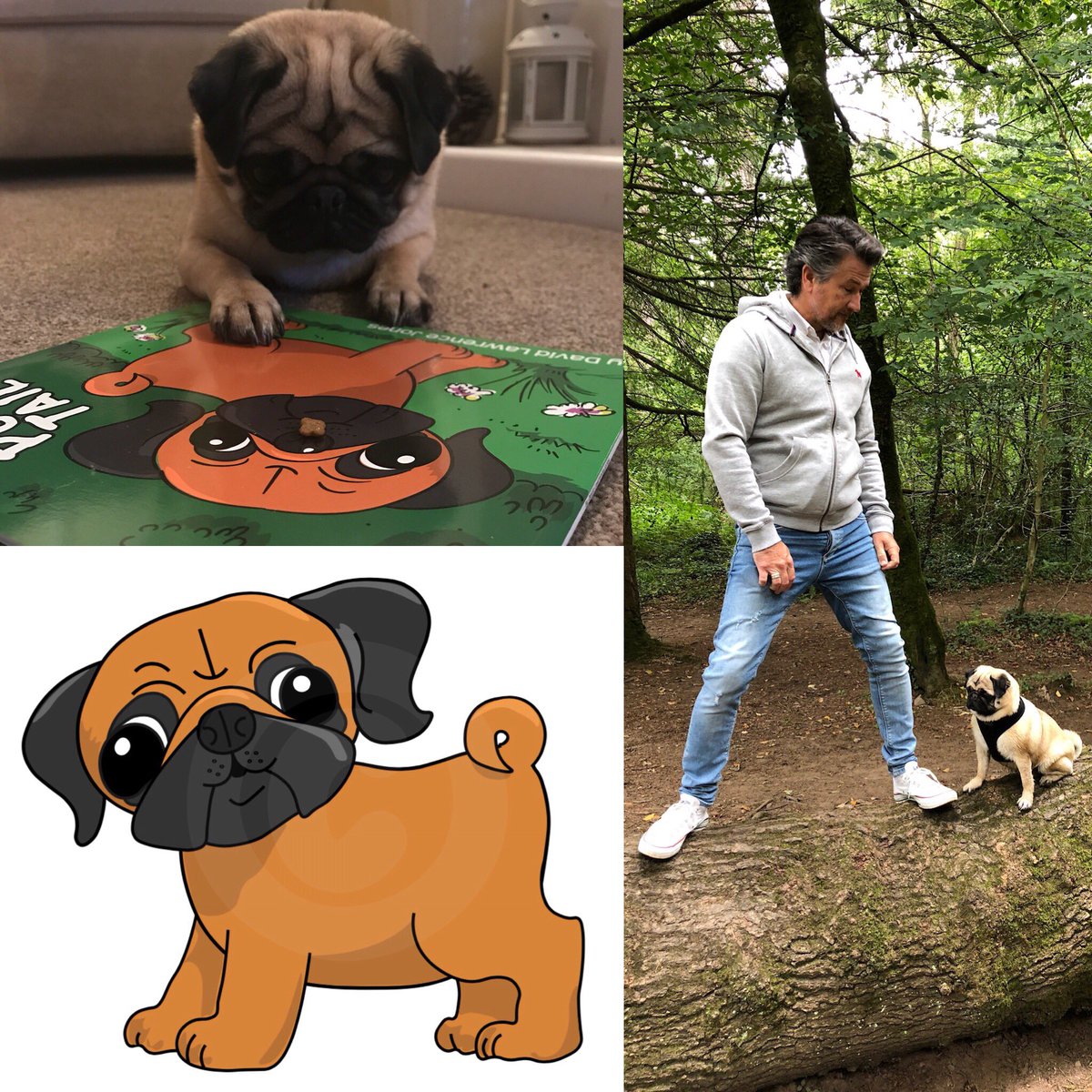 DavLawJones's tweet photo. Belle is going on some mini adventures! She is the main character in one of my picture books @apugstail and will be making a few surprise appearances during my visits to schools in Devon #pug #puginschools #authorontour #apugstail #pugbook https://t.co/yUoTseKlZ2 https://t.co/6nd6LU4ZpP