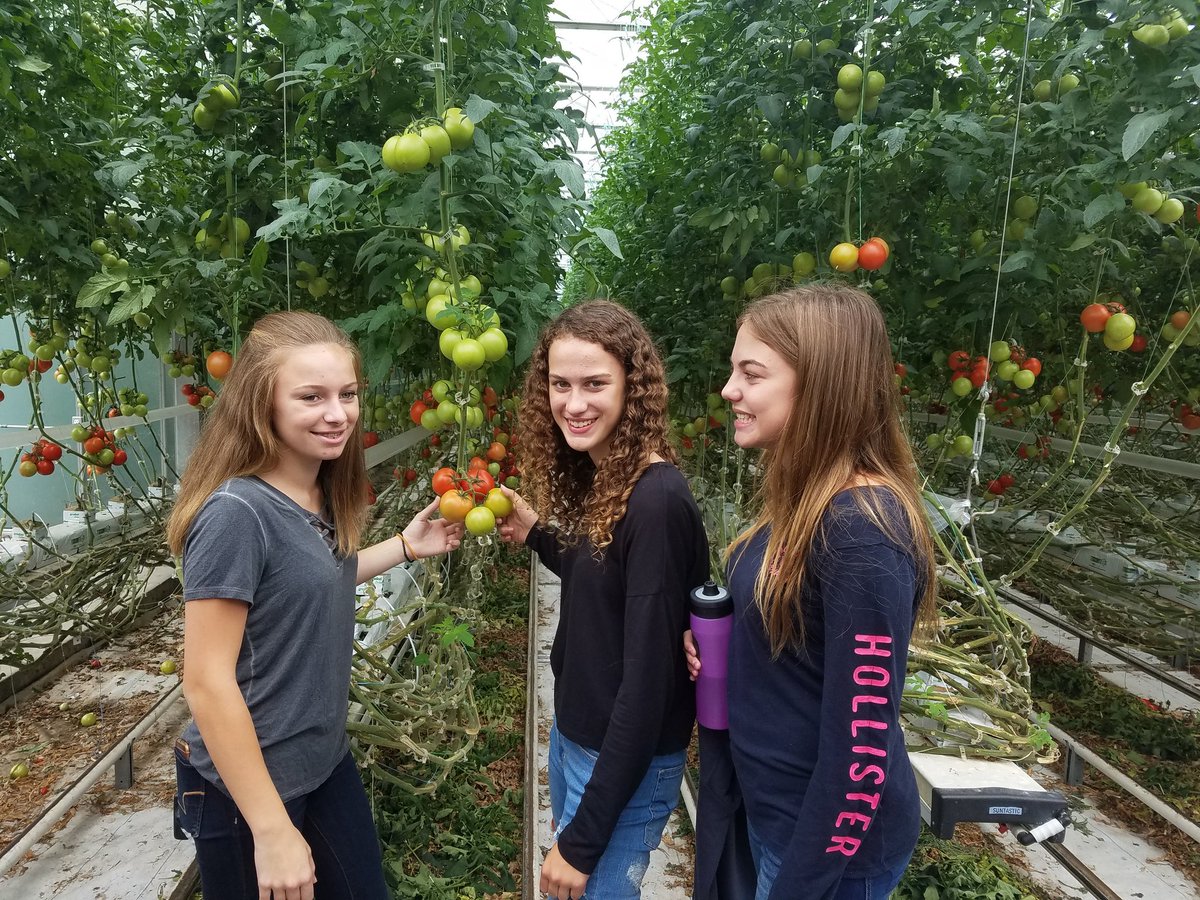 GlobalMccowan's tweet photo. Learning about Suntastic a local sustainably managed green house! Grade 9's loving science field trips! @shdhspanthers https://t.co/GSKpty8hiq