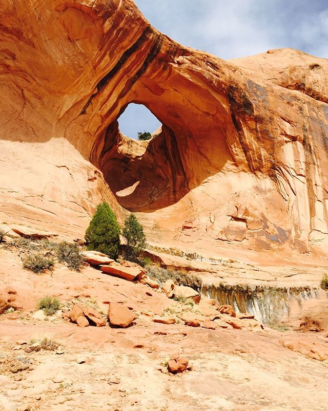 SunImpressions's tweet photo. Moab, Utah - at every turn an amazing arch or view in Arches National Park.#archesnationalpark #moab #runmoab #trailrunsmoab #hikingmoab #hikingutah #solotraveler 
#womentraveler #getoutside 
#hikingadventures #outdoorlife #outdoorwomen #wilderness #hiki… https://t.co/YviSQwfV9b https://t.co/voDD6cRrF3