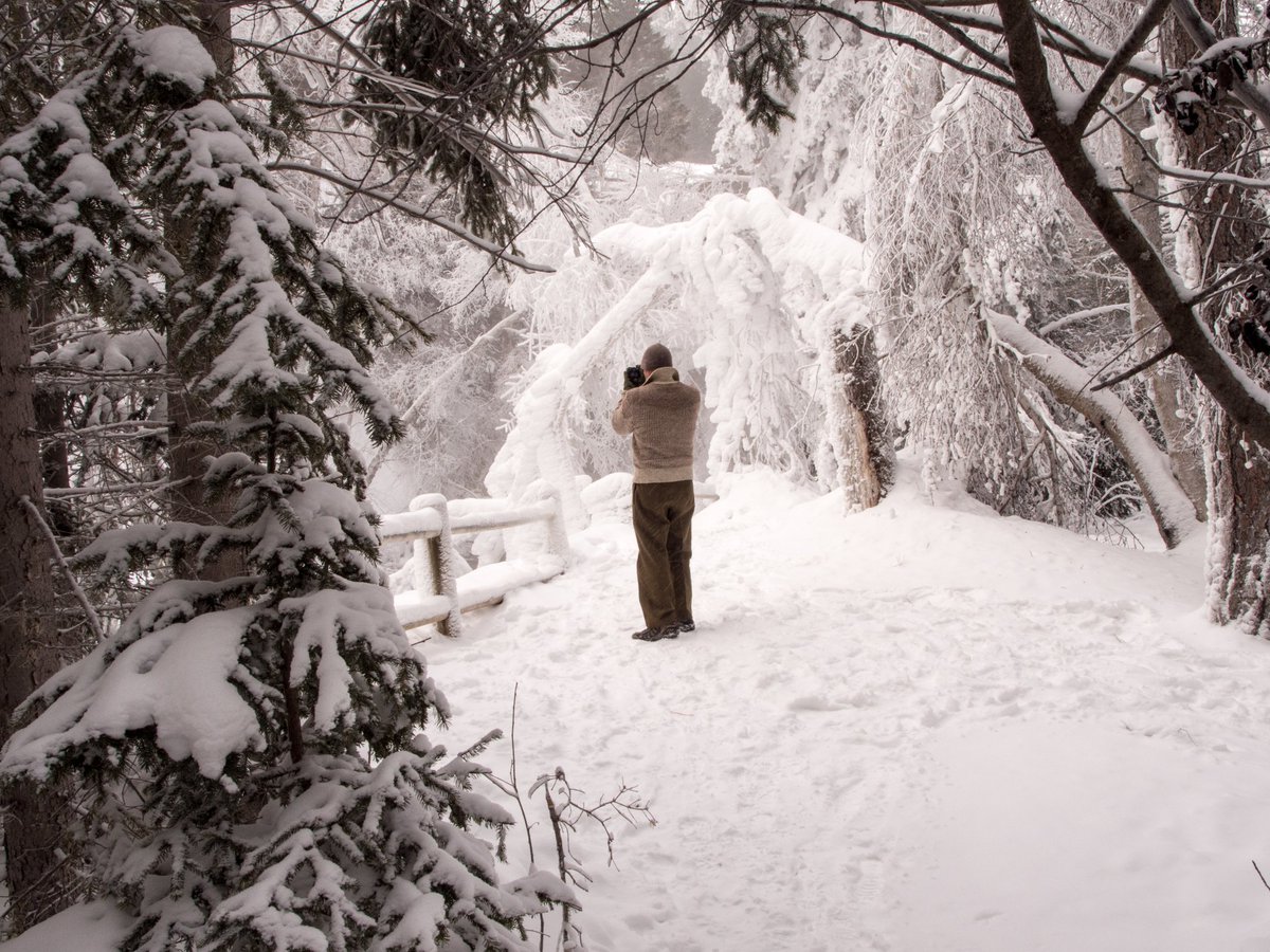 spfcanyon's tweet photo. Don't show up late to the party! ❄️  Book your stay and find out why thousands of visitors flock to South Dakota every year to witness nature's most colorful show 🍂🍁😮  It's more fun in the sun. Just ask this guy 📸☃️. 

https://t.co/bII8MzoXGs https://t.co/EJPlnyNukl
