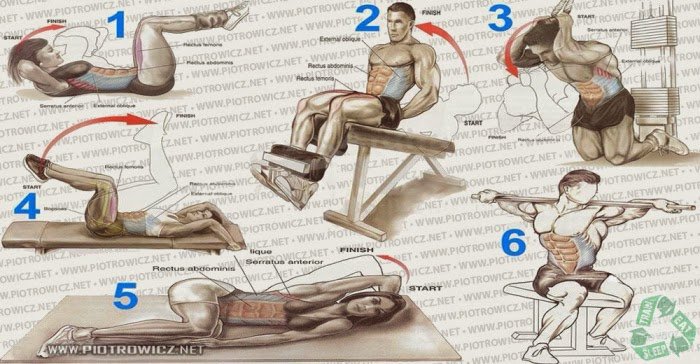 fitnesshacks247's tweet photo. Best Exercises for Six Packs

#absworkout #sixpacks #sixpacksworkout #absroutine #abs https://t.co/oGYSXC3zBm