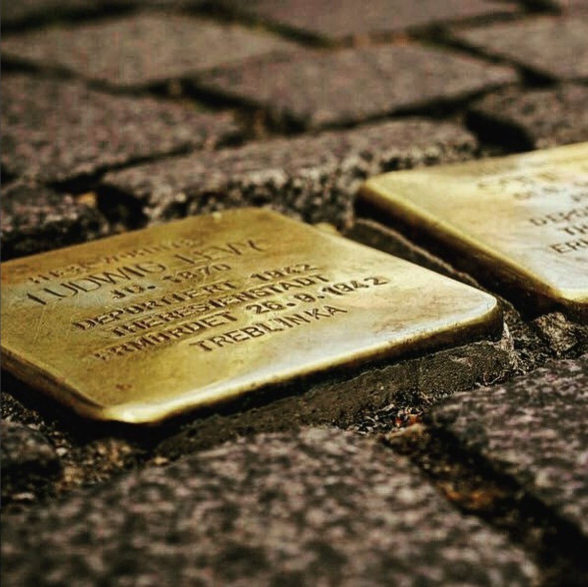 _Stolpersteine_'s tweet photo. Nein, nein man stolpert nicht und fällt hin, man stolpert mit dem Kopf  und mit dem Herzen.
You're not stumbling physically, you're  stumbling with your head and with your heart. #Stolpersteine #Demnig https://t.co/7JkgzVpln6