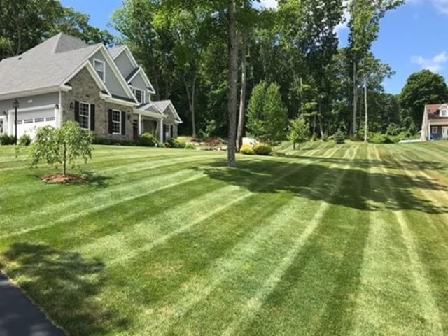 ScagPower's tweet photo. A lawn worthy of a #WalkBehindWednesday Share.  Very well done @linear_lawn  Keep up the great stripe action!

#scag #scagmowers #simplythebest #scagnation https://t.co/is1gdiY5LM https://t.co/Tg7zfRzH86