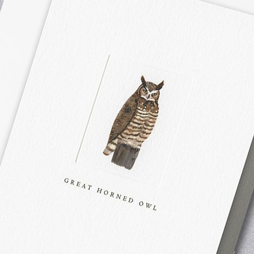 craneandco's tweet photo. It’s never too late to learn something new.  Life is full of twists and turns that can add new perspectives and understanding to the way you see the world.  Share them with others on these notes bearing the iconic symbol for wisdom, the majestic owl. https://t.co/5TvOGrJYOE https://t.co/kVOMcOEXEw
