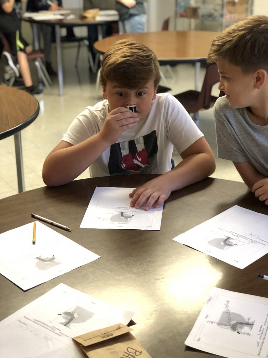 lilly_pecaut's tweet photo. Fourth graders at Jefferson Elementary in Mrs. Keutzer’s class started exploring their 5 senses today! They started off with a scent test and learned all about how their nose and brain work together to distinguish different smells!! #KnightsR7 #pltwmo https://t.co/JXgAH6k4VH