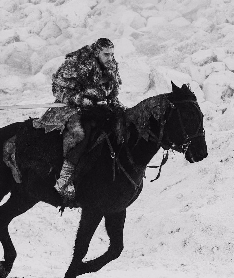 oiiv_'s tweet photo. “When the snows fall and the white winds blow, the lone wolf dies but the pack survives.”
George R.R. Martin https://t.co/tAMJNHoNGt