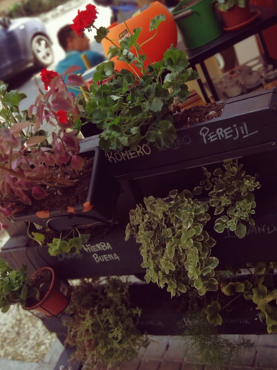 Nuestro pequeño huerto está feliz con el #otoño2018. ¿Y tú? 
#FelizMiercoles