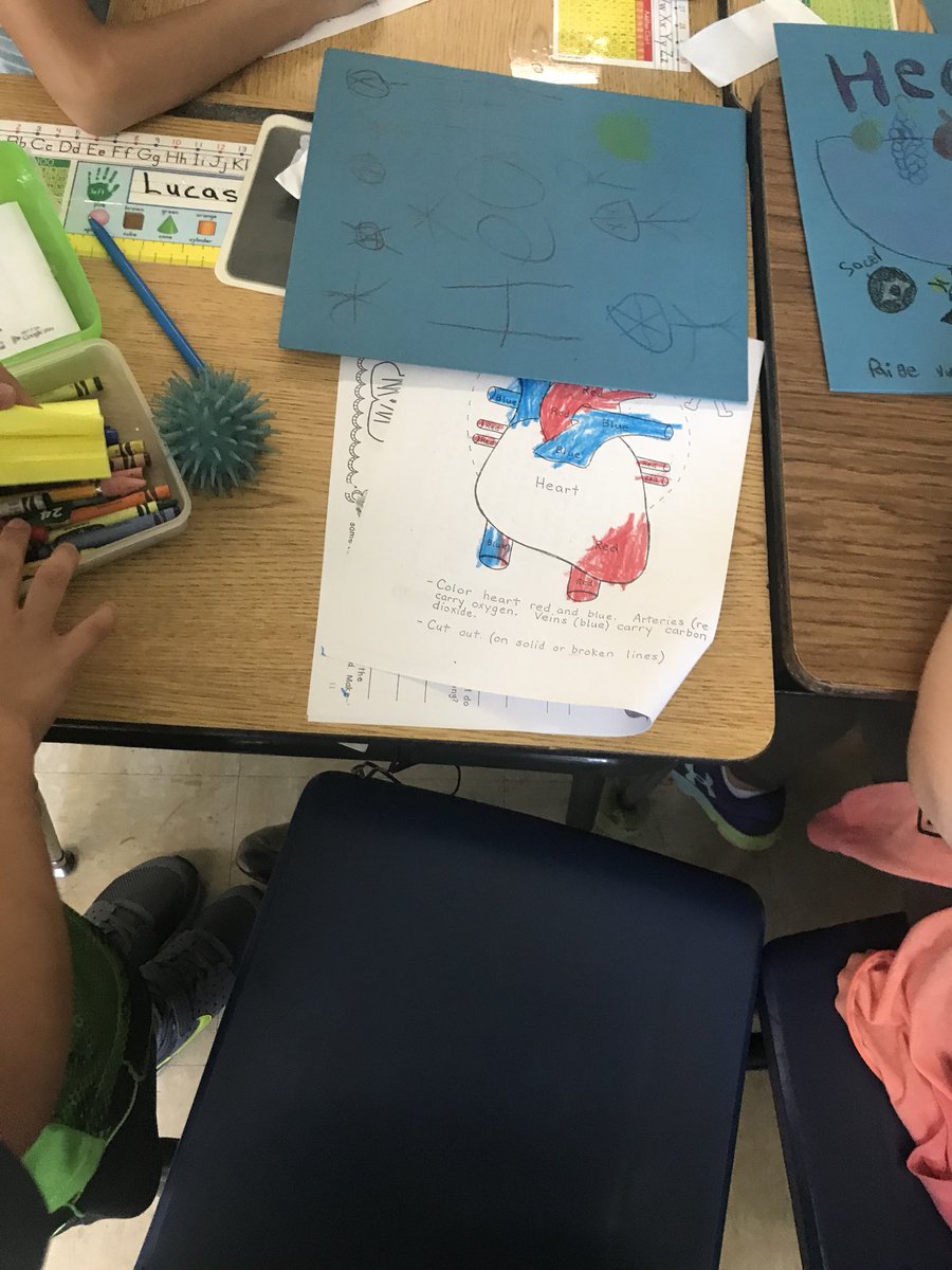MrTrezzaMiddPe's tweet photo. Learning about our hearts today in health class. #Village #health #hearts https://t.co/18UzGkjY0c
