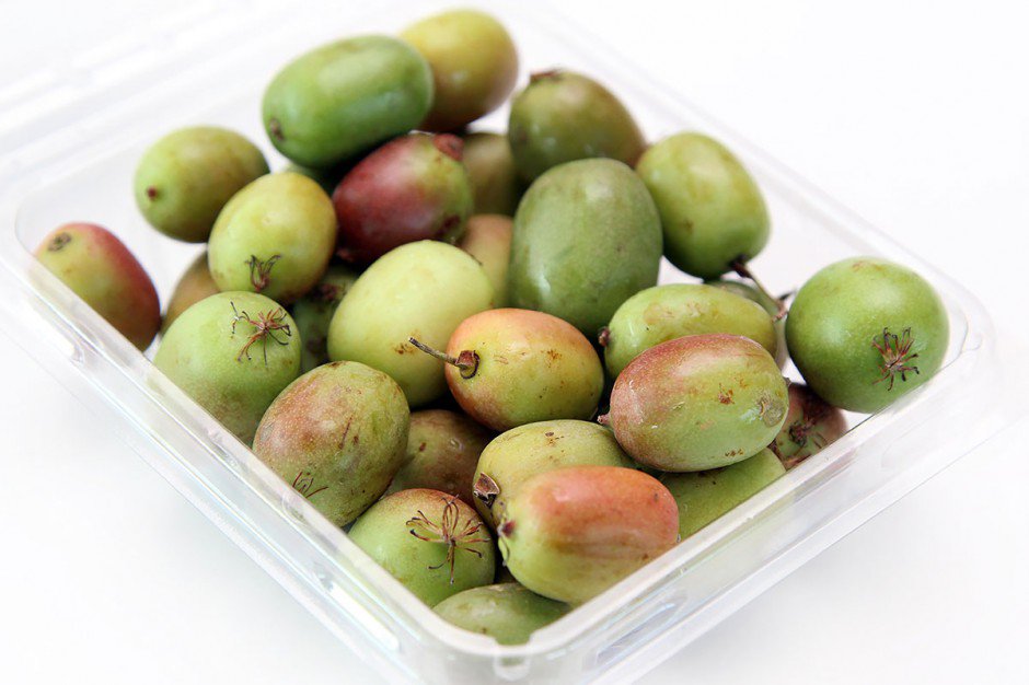 OrganicPG's tweet photo. Kiwi Berries Snacking Fun, Organic Honeycrisp, Delicata Squash Tips - Eat This Now Organic Produce Edition for 9/26/18

https://t.co/IOaB6YAzVM https://t.co/9iwlgnSses
