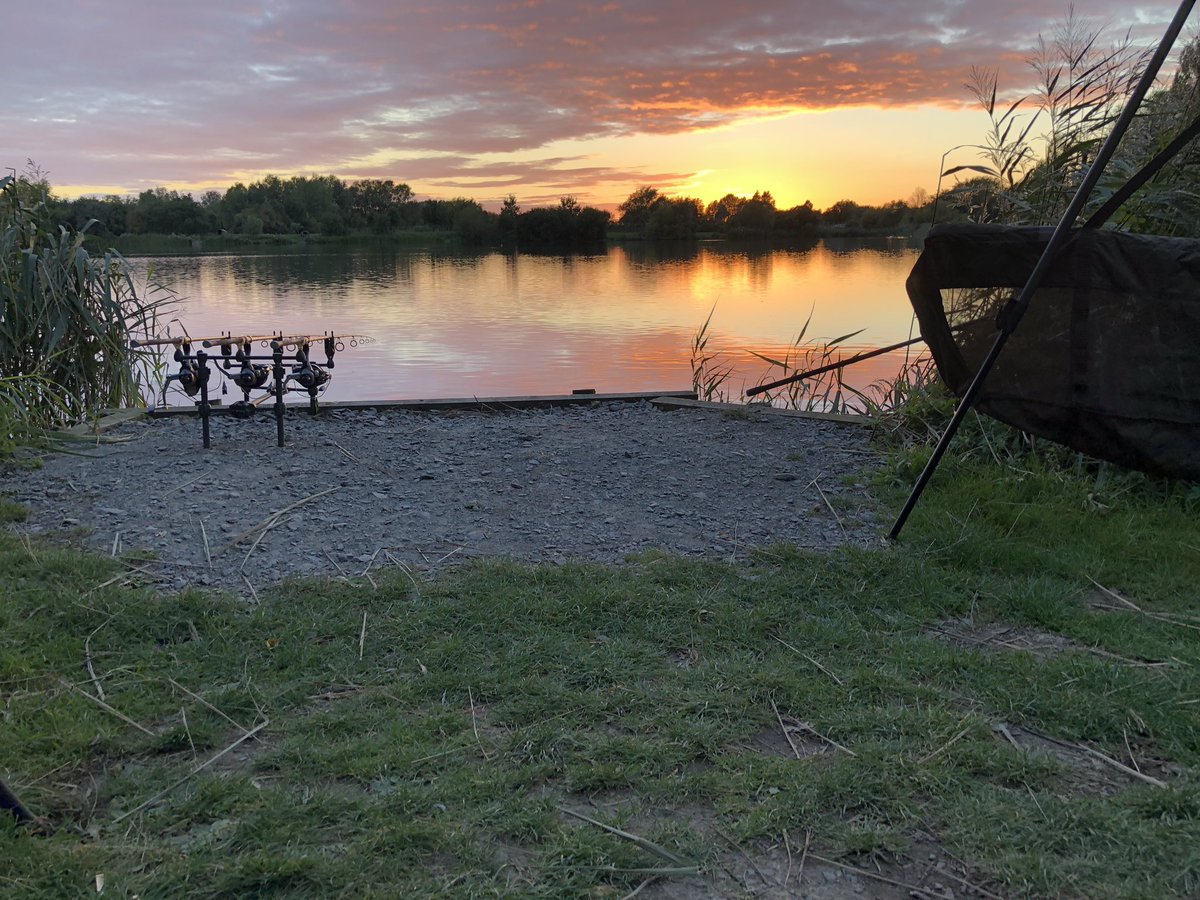 adyid's tweet image. 