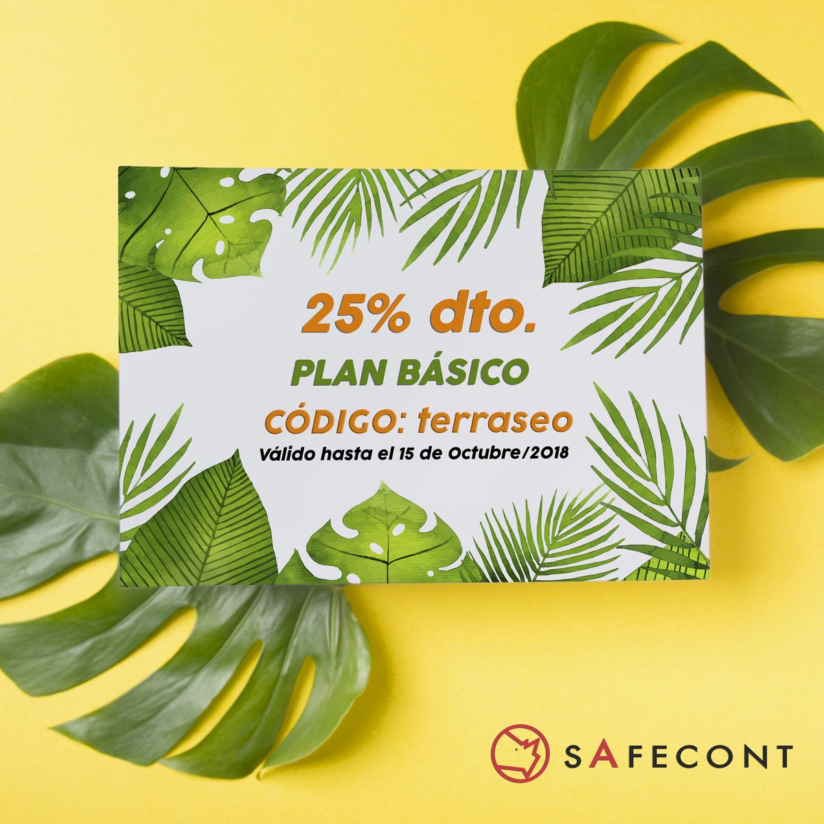 SafecontES's tweet photo. ¡Queremos regalaros un 25% de descuento en nuestro #PlanBasico con motivo de la celebración de este último #TerraSEO de la temporada!
Código: terraseo
¡Válido hasta el 18 de Octubre!
Aprovecha 😉🦏
#Safecont #SEO
https://t.co/7OaOBv7fk0 https://t.co/K2merd4pIu