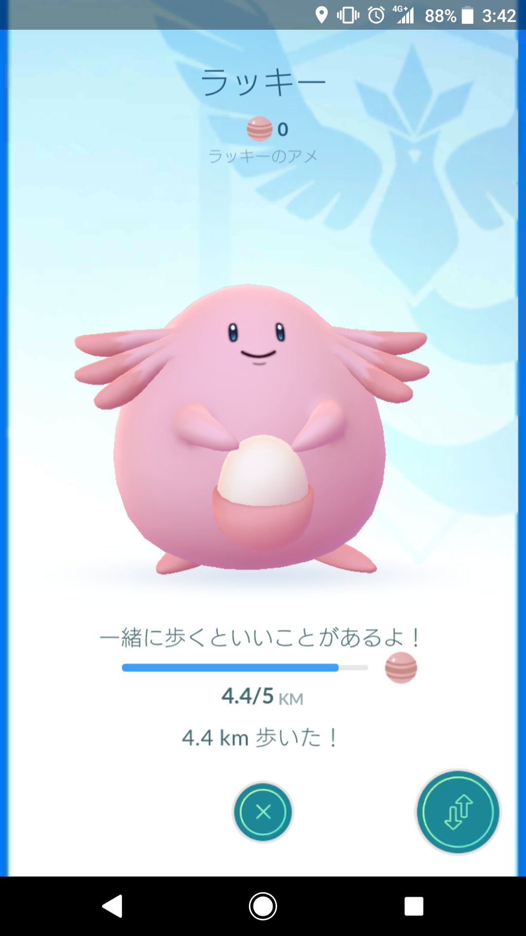 れんり ポケモンｇｏでラッキーちゃんをおとついゲットしてから虜です 可愛すぎる 丸くてピンクでふわふわしてて はー３枚目左下の 青い丸の中ラッキーちゃんなんだけどでかすぎてほっぺしかうつってないの可愛い T Co Univcp0kcy Twitter