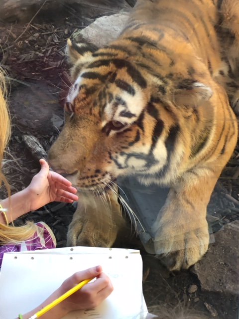 JS Artistically Talented enjoyed an exciting day at the Zoo! Such an exotic and patient model for our budding sketch artists! <a href="/johnstrangelem/">John Strange</a> <a href="/msdwt/">Washington Township Schools</a>